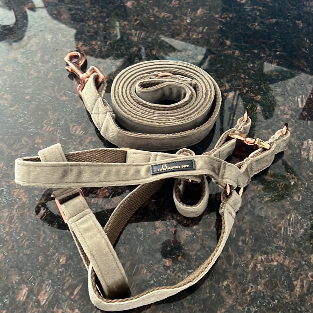 Aring pet harness and leash size small - Picture 3 of 3